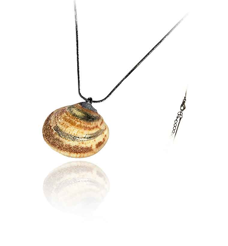 Halskette mit Muschel und Silber
